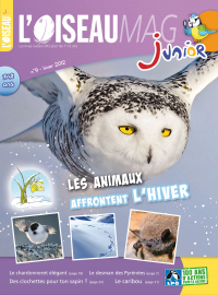 Couverture de l'OISEAU MAG JUNIOR n°9